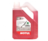 MOTUL Vision Black Currant -20°C - 4 л.