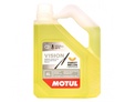 MOTUL Vision Sweet Melon -20°C - 4 л.